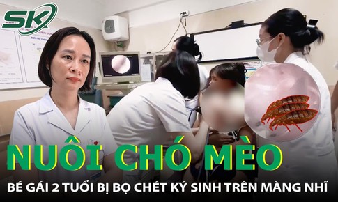 Nuôi chó mèo trong nhà, bé gái 2 tuổi bị bọ chét ký sinh trên màng nhĩ 