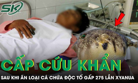Người đàn ông 33 tuổi phải cấp cứu sau khi ăn loại cá chứa độc tố đáng sợ gấp 275 lần xyanua