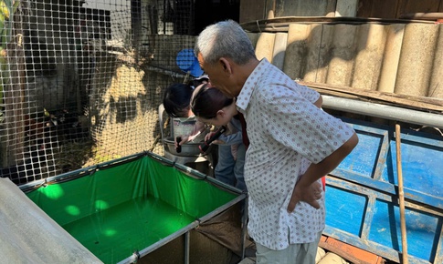 Sốt xuất huyết vẫn tiềm ẩn nhiều nguy cơ, hành động từ mỗi gia đình để bảo vệ cộng đồng