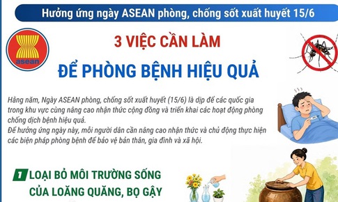 Ngày ASEAN phòng, chống sốt xuất huyết: 3 việc cần làm để phòng bệnh hiệu quả