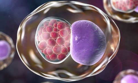 Những dấu hiệu cảnh báo nhiễm khuẩn Chlamydia gây nguy cơ vô sinh