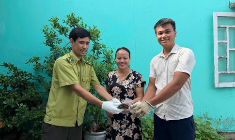 Hàng chục cá thể động vật quý hiếm được người dân ở Huế tự nguyện giao nộp