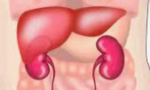 Nhận biết dấu hiệu bệnh trở nặng của xơ gan