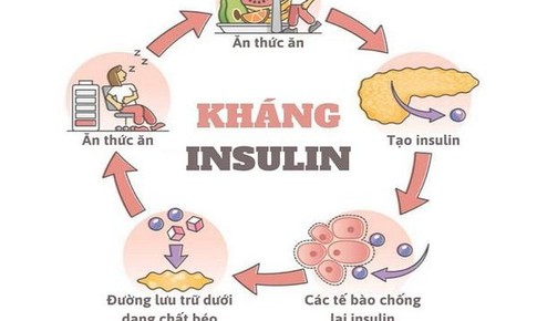 Omega-7 có giúp cải thiện đề kháng insulin và sức khỏe chuyển hóa?