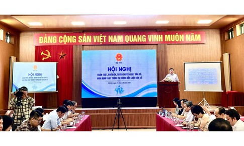 Triển khai đồng bộ Luật Dân số và các văn bản hướng dẫn thi hành