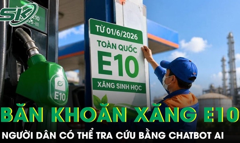 Băn khoăn về xăng E10, người dân có thể tra cứu bằng chatbot AI của Bộ Công Thương