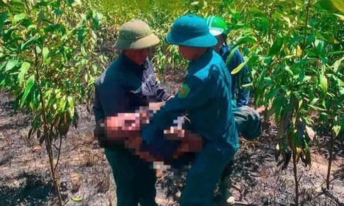 Cháy rừng ở Hà Tĩnh, hai vợ chồng tử vong nghi do ngạt khói