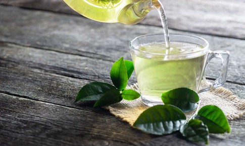 Nên uống trà xanh tươi hay khô để giảm cân?