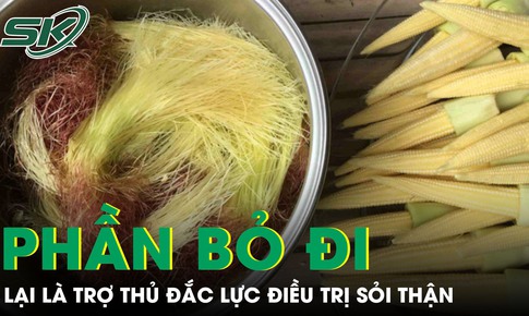 Phần thường bị bỏ đi của bắp ngô lại là 'trợ thủ đắc lực' hỗ trợ điều trị sỏi thận