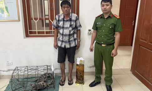 Khởi tố Bùi Ngọc Tài do tàng trữ rượu ngâm tay gấu