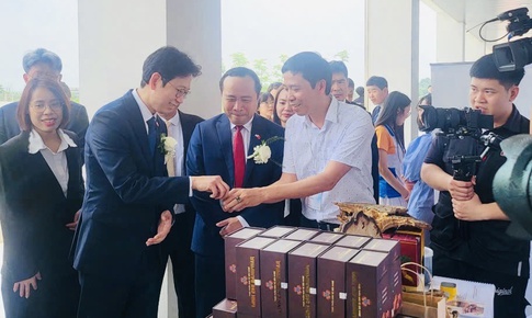Tầm nhìn và chiến lược 5 năm của Công ty Cổ phần Dược liệu Ba Miền