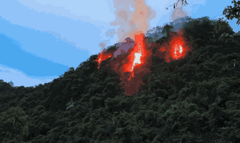 Cháy rừng Cúc Phương do sét đánh