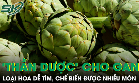 Loại hoa được ví như 'thần dược' cho gan, chế biến được nhiều món ngon