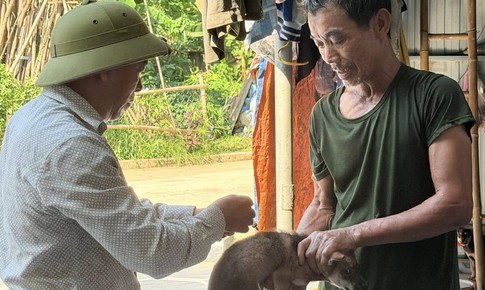 Nguy cơ bệnh dại gia tăng mùa nắng nóng, cần tiêm phòng ngay khi bị chó mèo cắn
