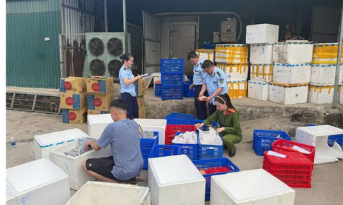 Khởi tố Giám đốc bán hàng chục nghìn sản phẩm thực phẩm giả
