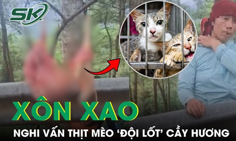 Xôn xao nghi vấn thịt mèo ‘đội lốt’ cầy hương, cơ quan chức năng vào cuộc