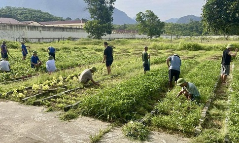 Khoảng trống sau điều trị và vai trò của phục hồi chức năng cho người bệnh tâm thần
