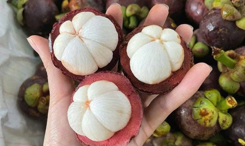 Điều gì xảy ra với cơ thể khi thường xuyên ăn măng cụt?