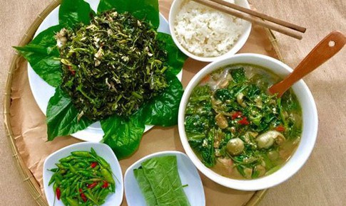 5 món ăn dân dã hấp dẫn, giàu dinh dưỡng từ lá sắn