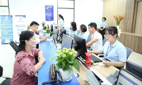 Địa phương tạm thời thực hiện quy định hiện hành về vị trí việc làm viên chức