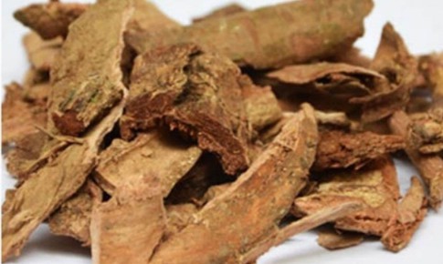 4 bài thuốc điều trị bệnh trĩ