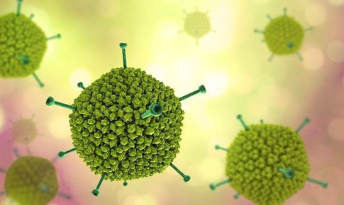 Biểu hiện khi trẻ mắc Adenovirus: Cha mẹ cần nhận biết sớm để phòng biến chứng