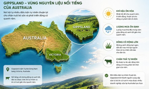 Sữa từ bò ăn cỏ tươi 4 mùa có gì đặc biệt mà được đánh giá cao?