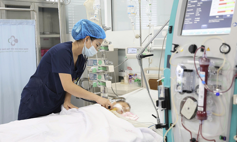 Cứu sống bé trai 15 tháng tuổi nguy kịch sau khi bị ong vò vẽ đốt 60 nốt trên cơ thể