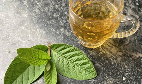 Uống nước lá ổi sau ăn hay trước ăn?