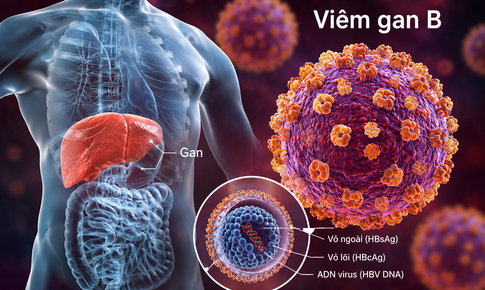 Những điểm mới trong hướng dẫn chẩn đoán và điều trị viêm gan B, C