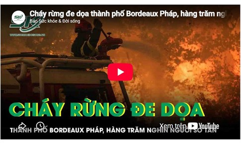 Cháy rừng đe dọa thành phố Bordeaux Pháp, hàng trăm nghìn người sơ tán khẩn cấp