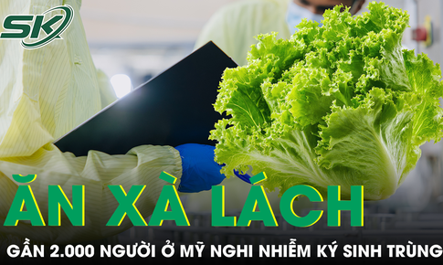 Ăn xà lách, gần 2.000 người ở Mỹ nhiễm ký sinh trùng, 98 ca phải nhập viện
