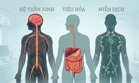 Ảnh hưởng của ô nhiễm thủy ngân với sức khỏe con người