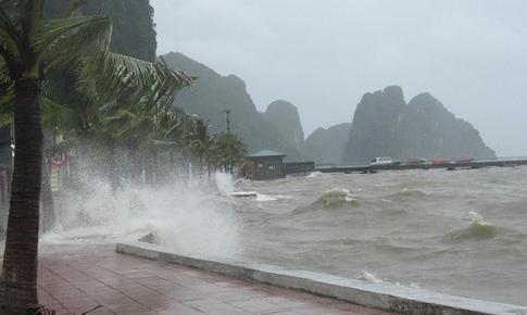 Cảnh báo khẩn: Dông, lốc xoáy và gió giật mạnh đe dọa vùng biển Quảng Ninh