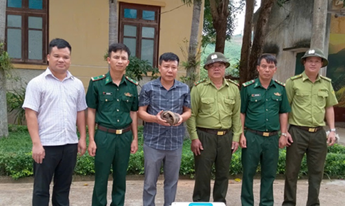 Loài động vật quý hiếm bọc giáp đầy mình lạc vào nhà dân