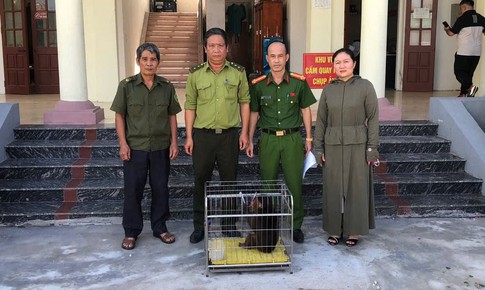 Người dân Hải Phòng giao nộp nhiều động vật quý hiếm