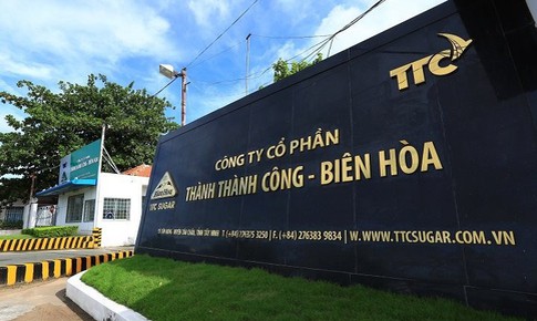 Công ty Cổ phần Thành Thành Công - Biên Hòa vi phạm chứng khoán