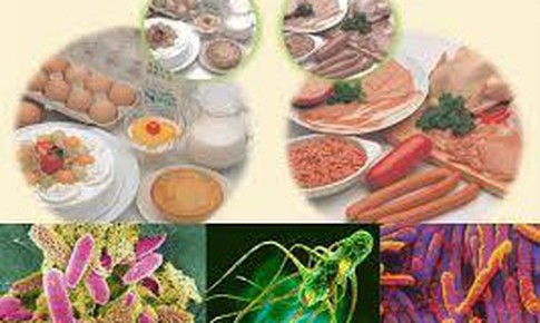 Bộ Y tế yêu cầu khẩn trương điều tra vụ gần 40 học sinh nghi ngộ độc thực phẩm tại Đắk Lắk