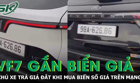 Mua biển số giả trên mạng, chủ xe trả giá đắt