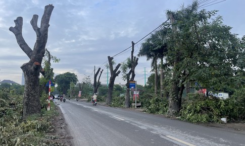 Dự án đường 70 qua Xuân Phương, Hà Nội: Hàng loạt cây xanh, nhà xưởng được dỡ bỏ