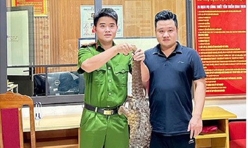 Đang đi taxi thấy tê tê bò trên đường, người dân bắt giao nộp cho Công an