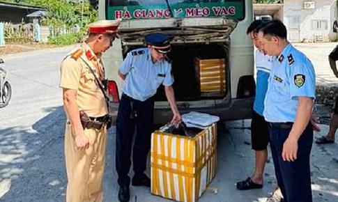 Phát hiện hơn 1 tạ gan, mỡ lợn không rõ nguồn gốc đang vận chuyển trên xe khách