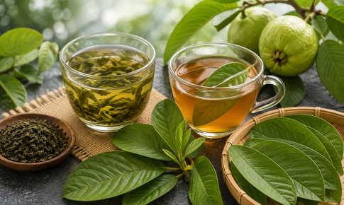 Lá ổi hay trà xanh làm chậm quá trình lão hóa hơn?