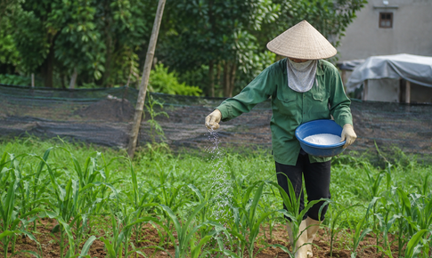 5 nguyên tắc an toàn khi tiếp xúc hoá chất mỗi ngày không được bỏ qua