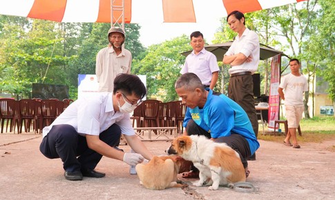 Hà Nội mở rộng điểm tiêm vắc xin dại đến tận xã, phường, người dân được bảo vệ sức khỏe tối đa