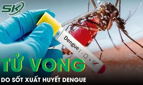 Đắk Lắk ghi nhận ca tử vong đầu tiên do sốt xuất huyết Dengue trong năm nay