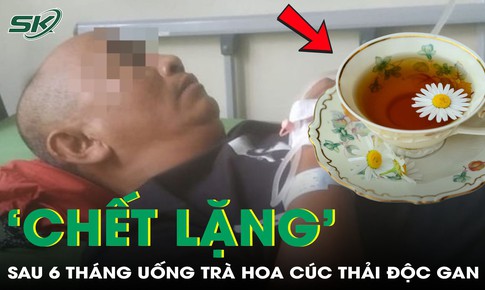 Uống trà hoa cúc mỗi ngày để thải độc gan, người đàn ông ‘chết lặng’ với kết quả sau 6 tháng