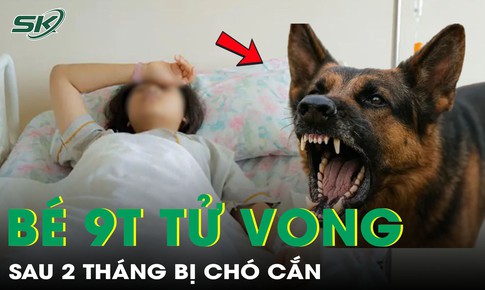 Bé gái 9 tuổi tử vong vì bệnh dại sau hơn 2 tháng bị chó cắn vào gót chân