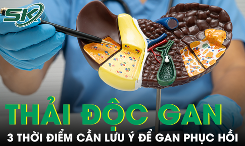 3 thời điểm đặc biệt trong ngày cần lưu ý để gan phục hồi, thải độc