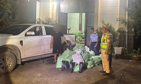 Phát hiện xe bán tải vận chuyển 220 bình khí cười ở Móng Cái